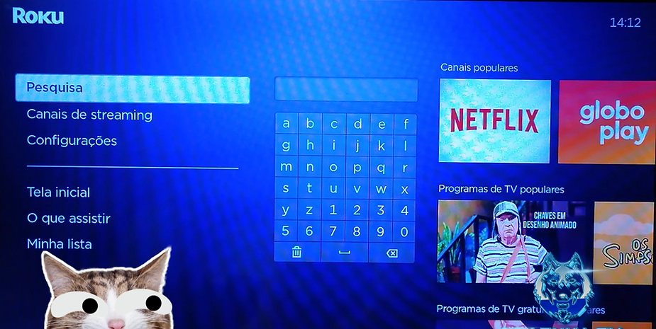 como instalar o MetaX Player na TV Roku